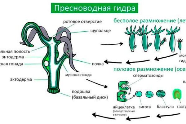 Украли аккаунт на кракене даркнет