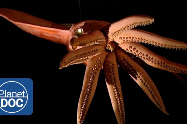 Kraken ссылка на сайт тор